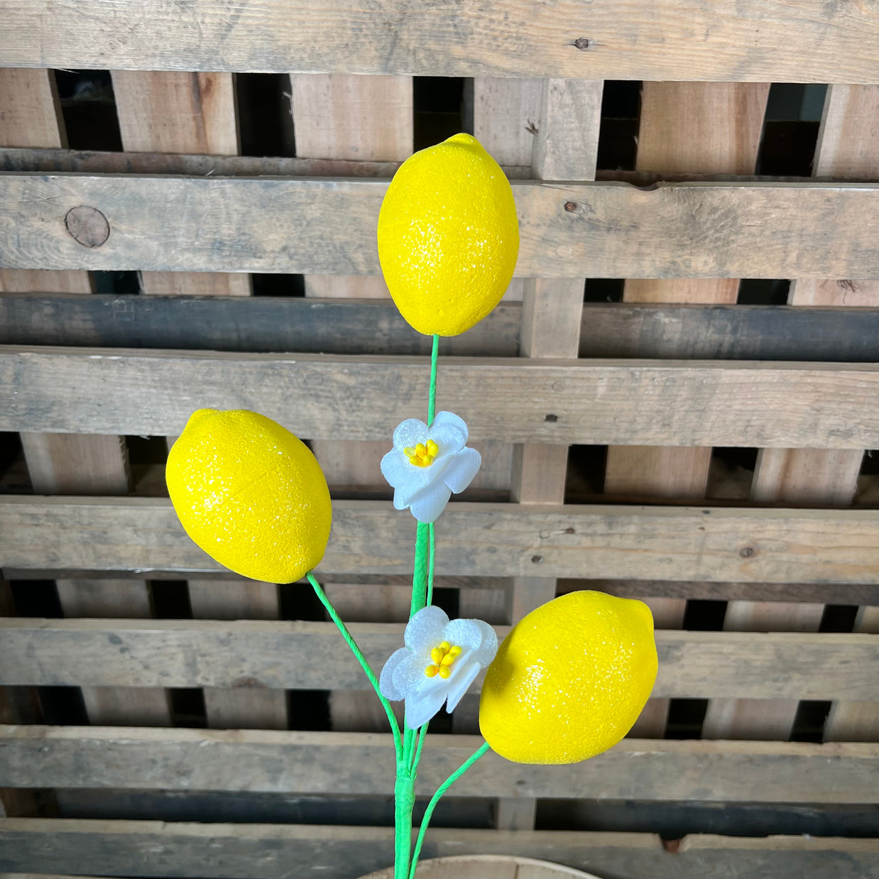24" Lemon Pick - 63878YW