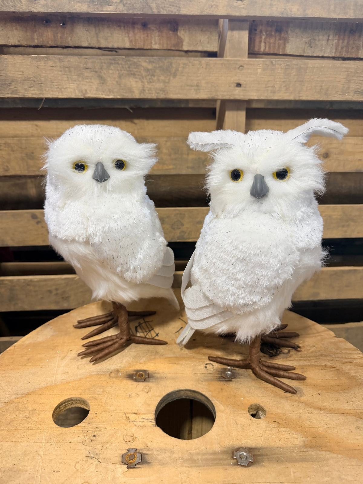 11" Faux standing white owl - MB542732