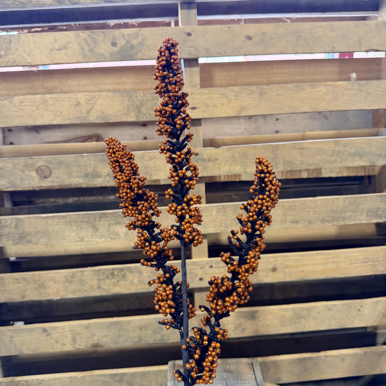 29"L GLITTER AMARANTHUS SPIKE SPRAY - FH8196FH
