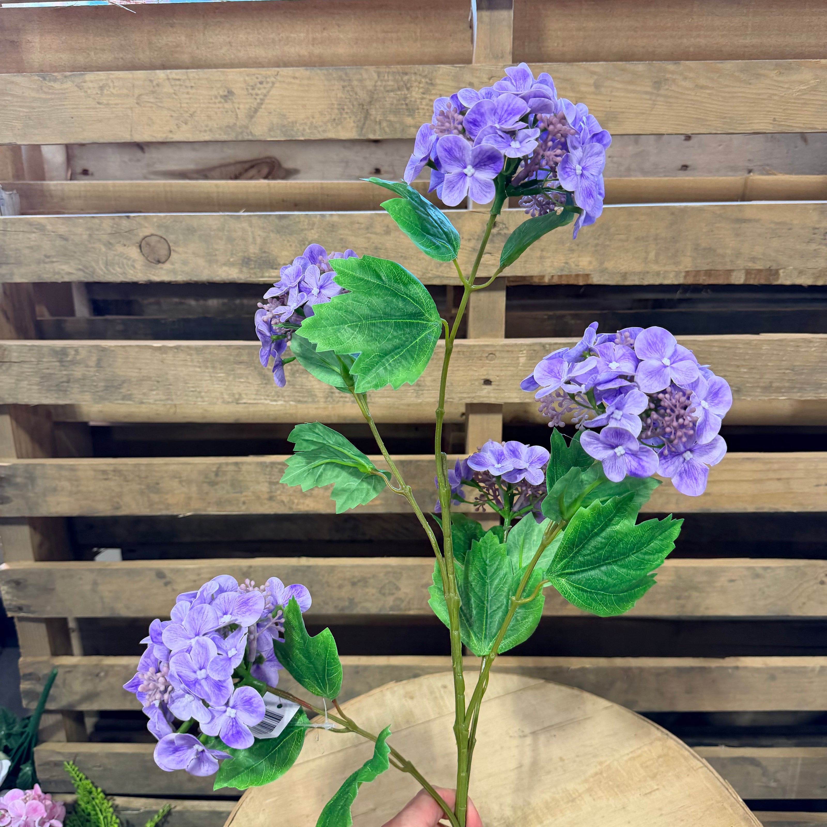 Purple Hydrangea Stem - 79432