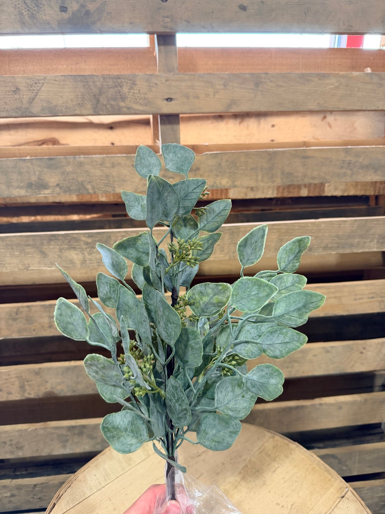 17”H Eucalyptus bush -  FG5434