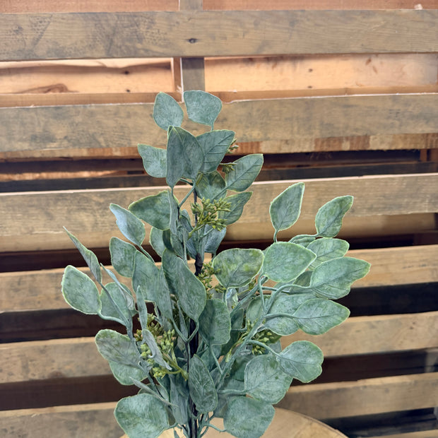 17”H Eucalyptus bush -  FG5434