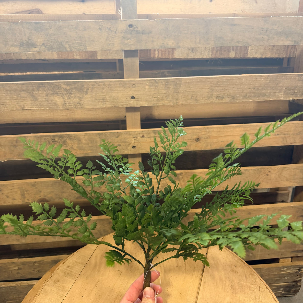 16” FERN SPRAY - FG673131