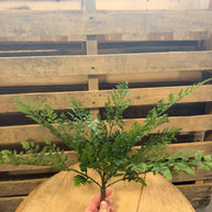 16” FERN SPRAY - FG673131