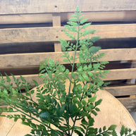16” FERN SPRAY - FG673131