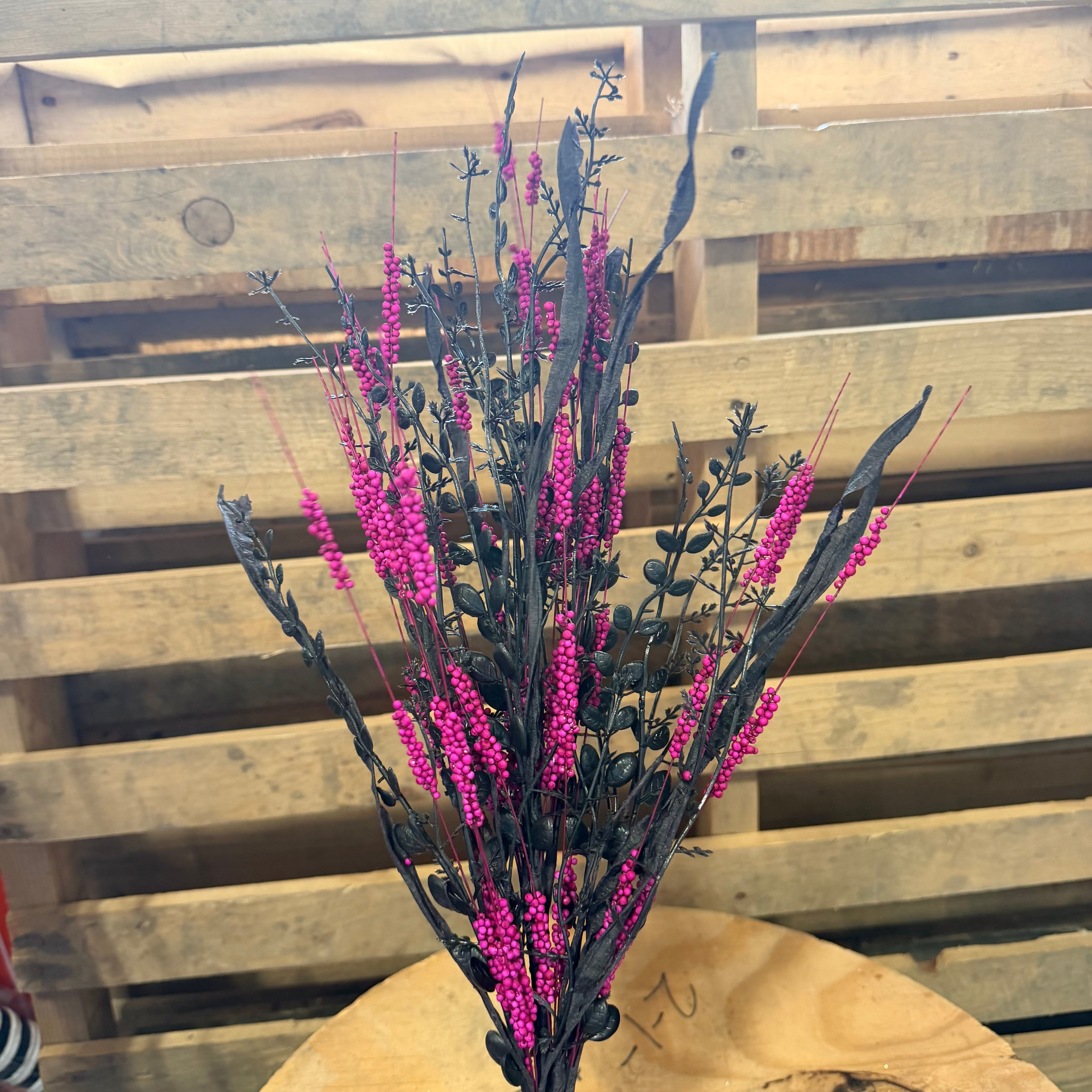 25” Spike fern Stray - BLACK/HOT PINK - HH7678K9