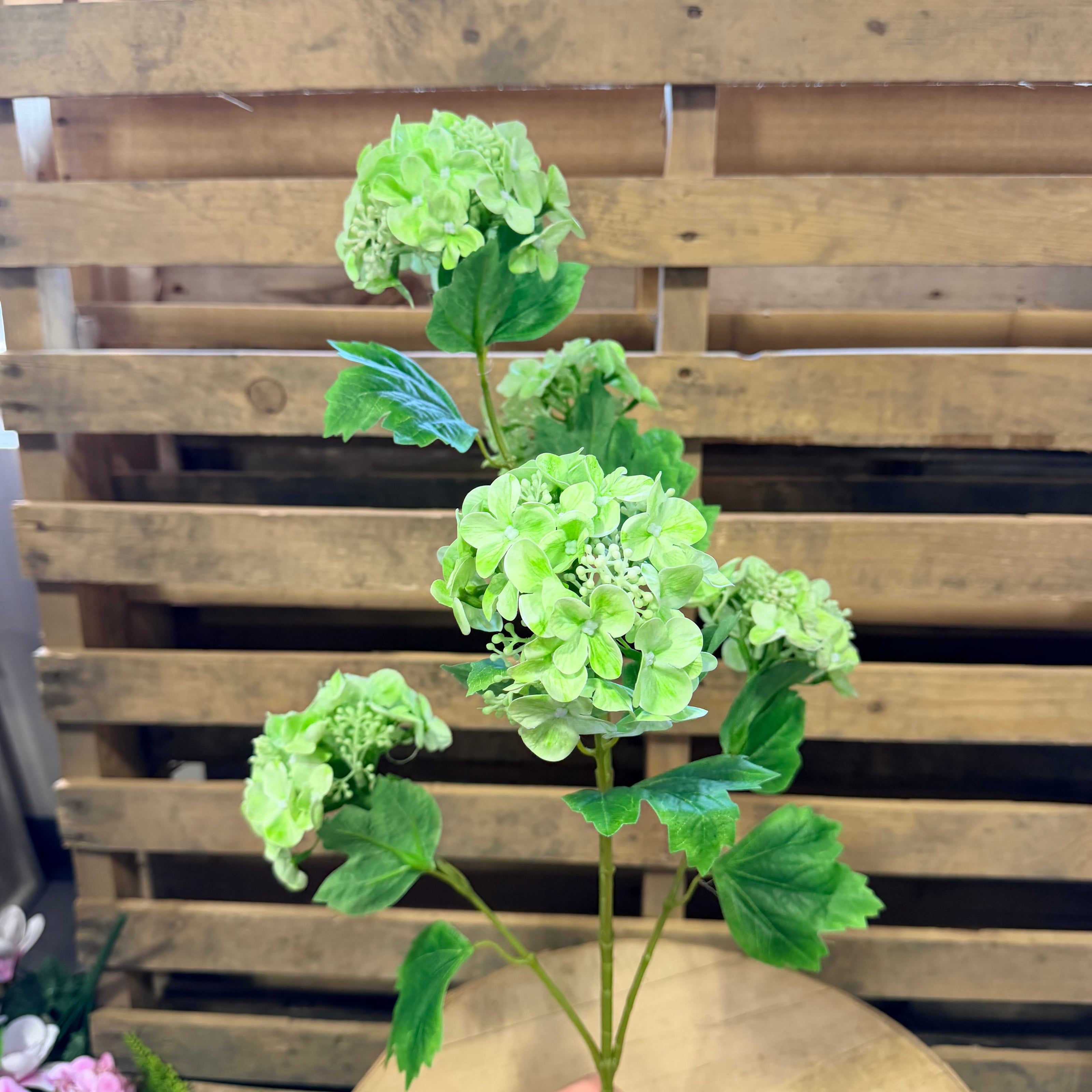 Green Hydrangea Stem - 79434