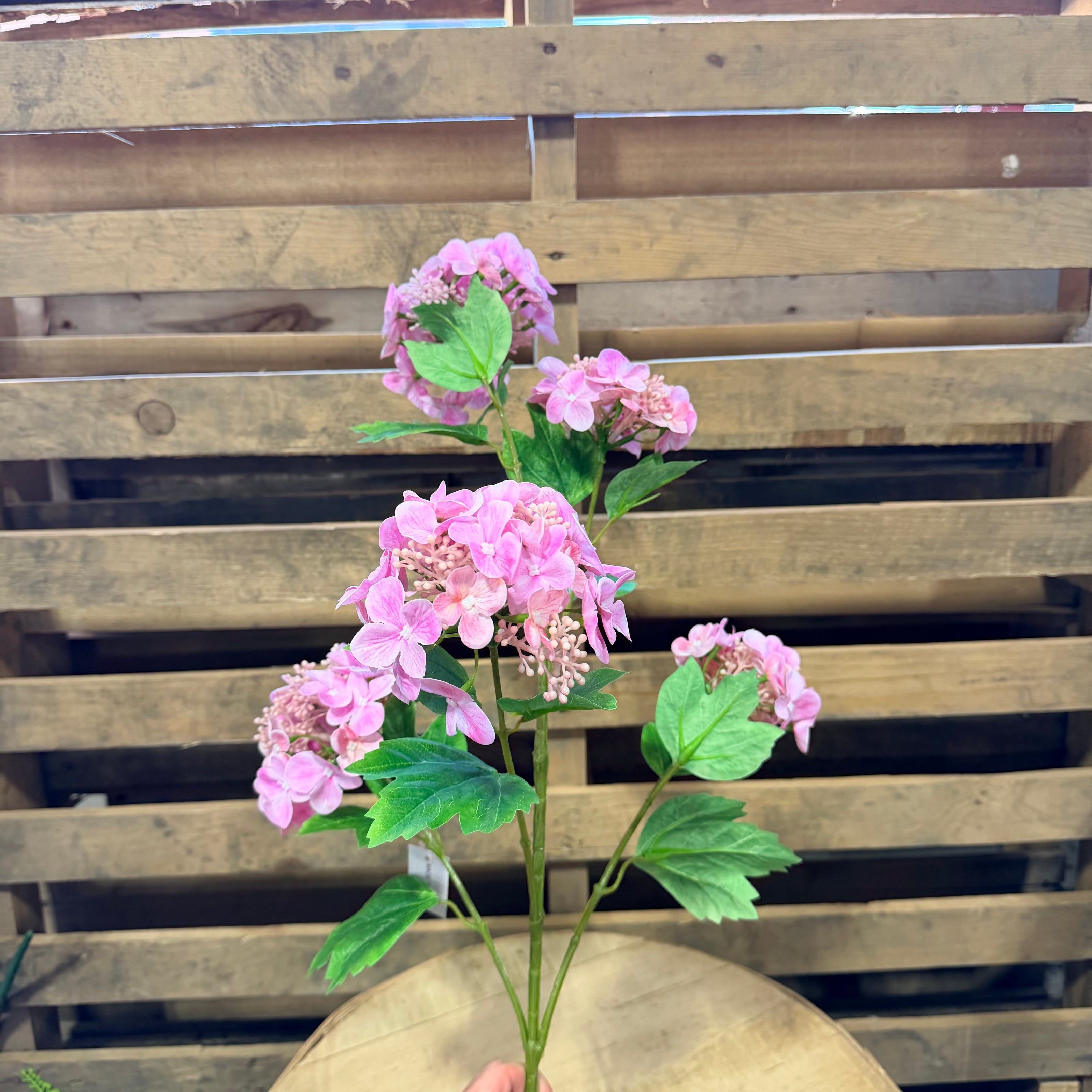 Pink Hydrangea Stem - 79433