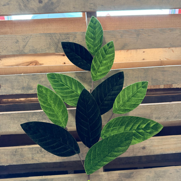 25" Green Velvet Magnolia Leaf Spray - 84602SP25