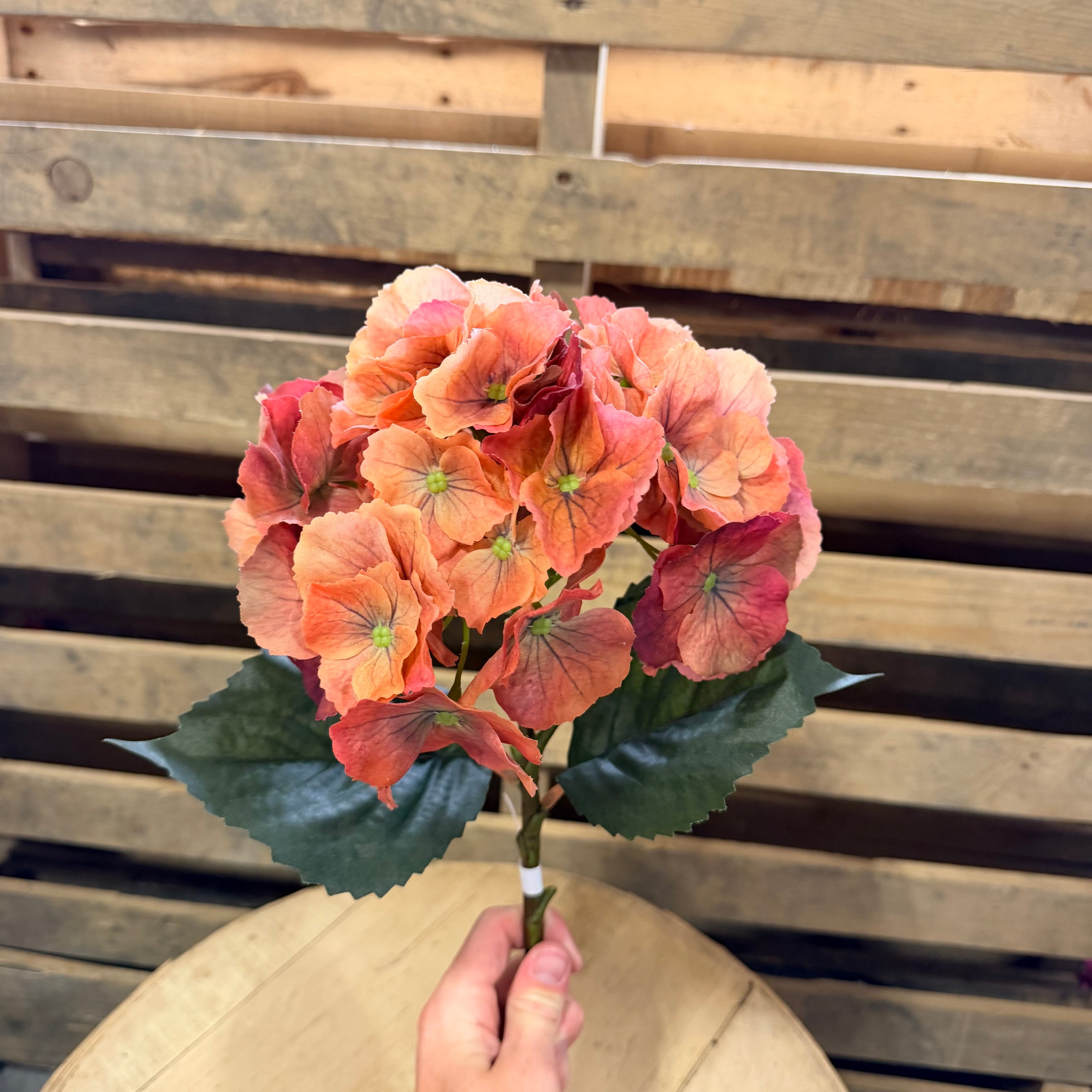 20”  Hydrangea Real Touch Terra Cotta - 518SA9944