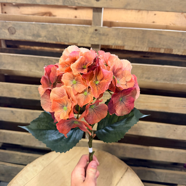 20”  Hydrangea Real Touch Terra Cotta - 518SA9944
