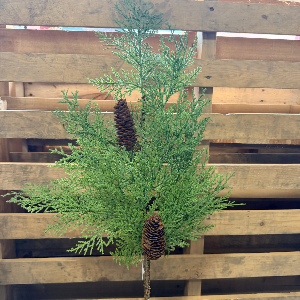 30” CEDAR W/ PINECONE SPRAY - 38344