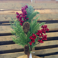 CEDAR W/BERRY PICK RD - 69272