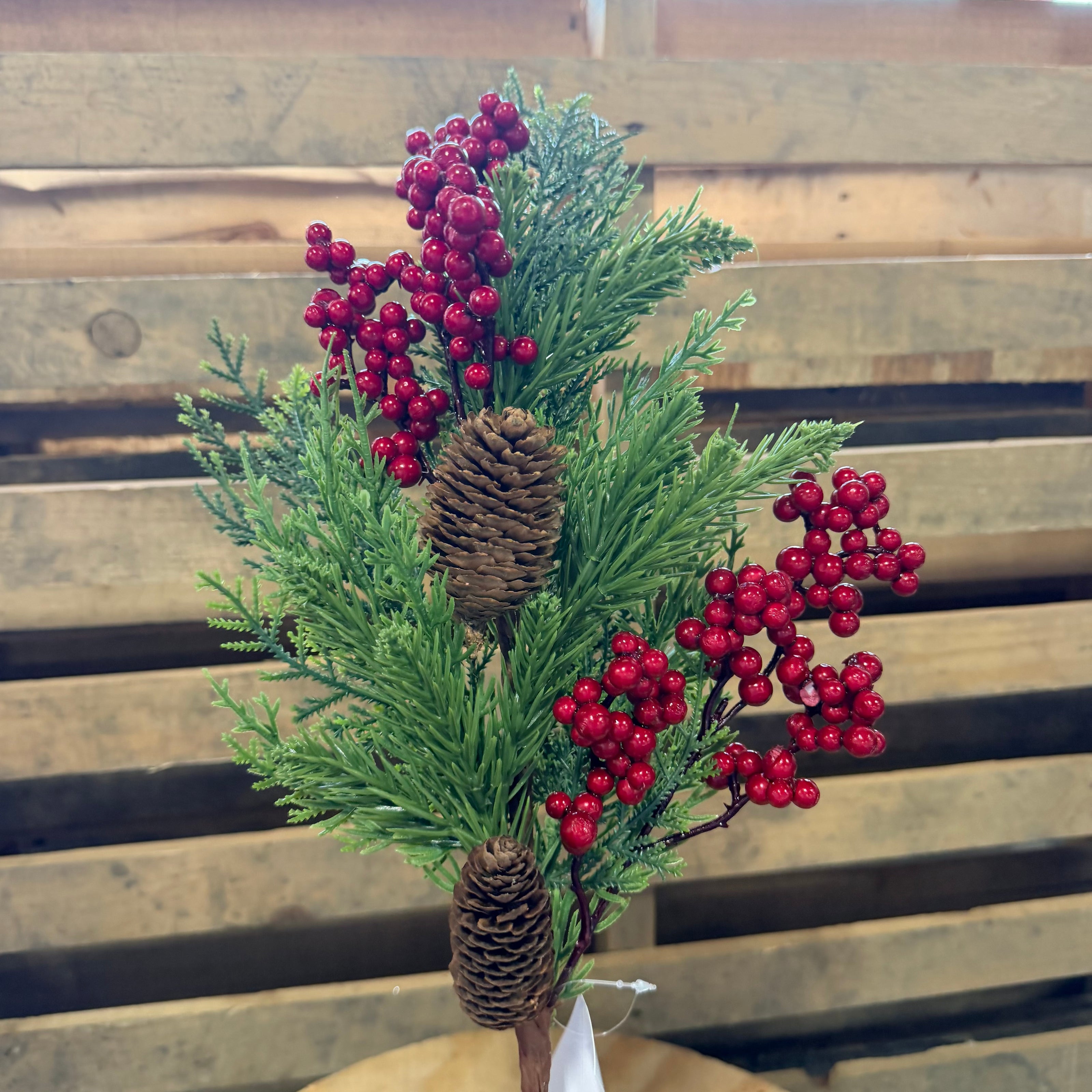 CEDAR W/BERRY PICK RD - 69272