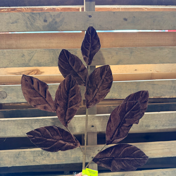 30" Chocolate Velvet Magnolia Leaf Spray   - 86787CHO
