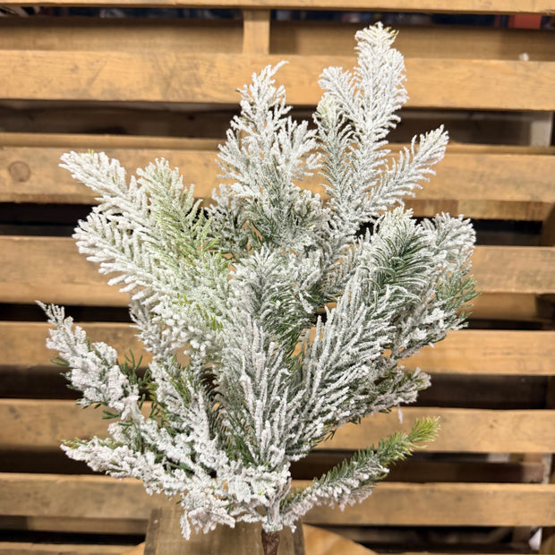 24"  Swiss Pine Spray - 86374SP24