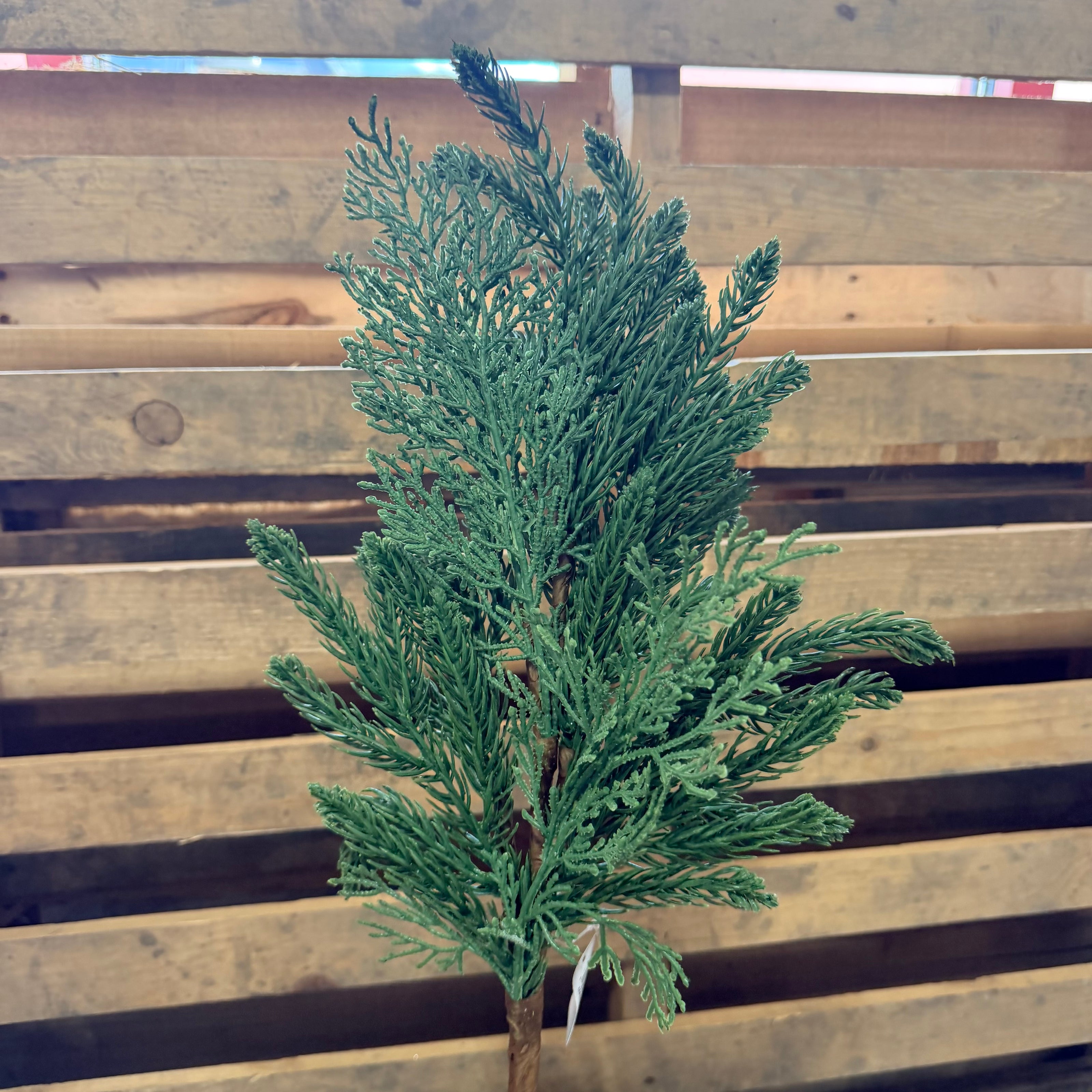 22” Pine and Cedar Pick  - XX2604