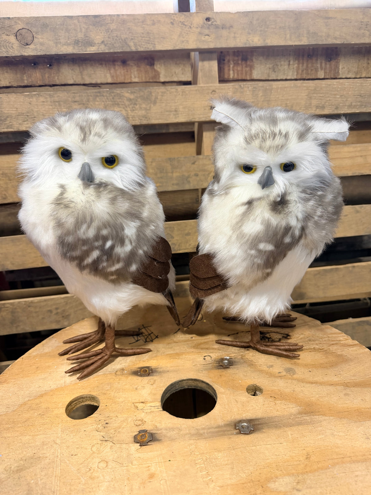 13.25" Faux standing white owl - MB543133