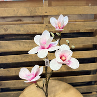 White and Pink Magnolia Spray -  79462