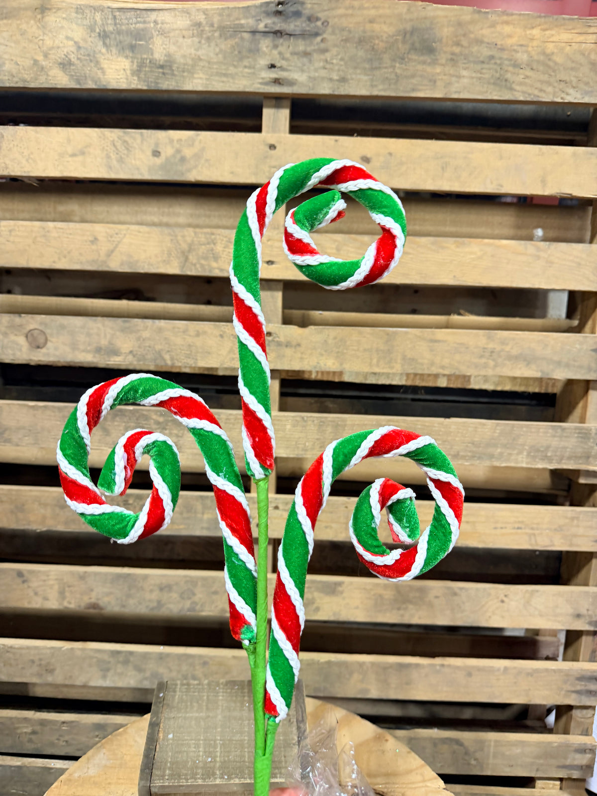 28" Stripe Spiral Curly Spray - 86744RWG
