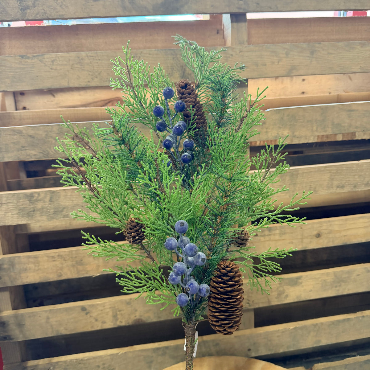 Cedar w/ Pinecone and BLUEBERRIES Spray- 38184