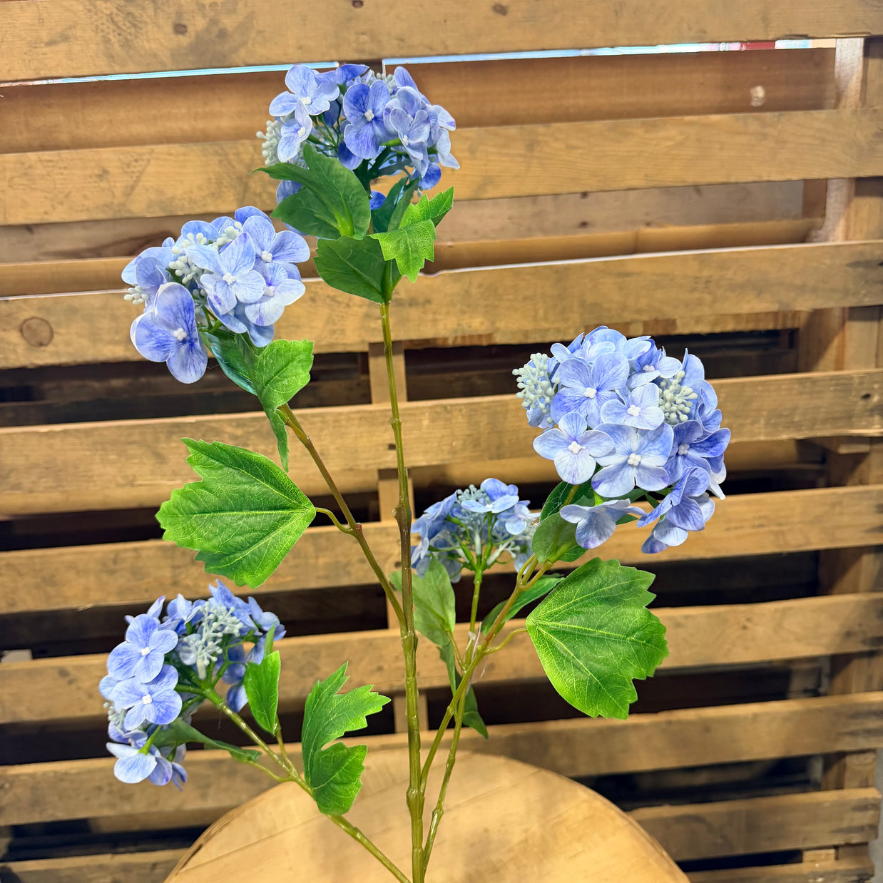 Blue Hydrangea Stem - 79431