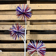 30”  Starburst spray - HJ1064