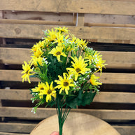 Yellow Daisy Bush - 36332