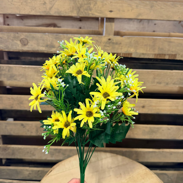 Yellow Daisy Bush - 36332