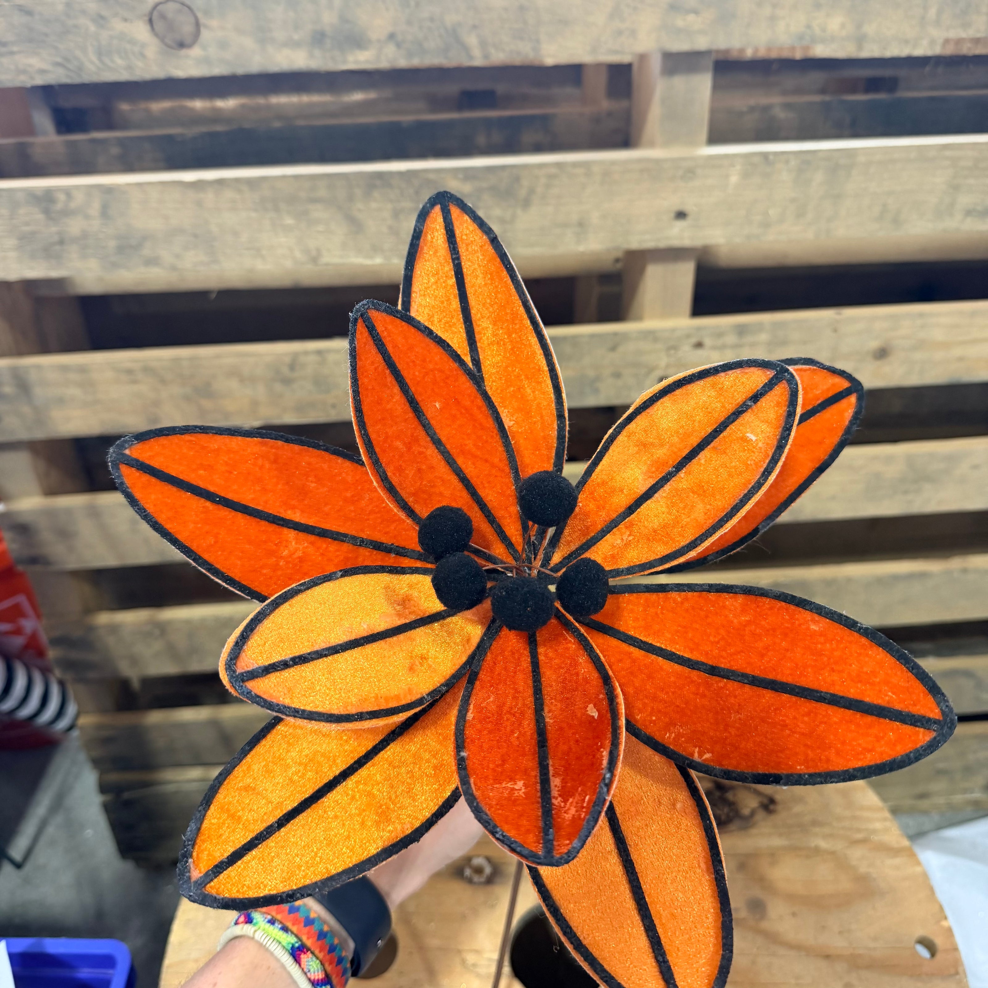 10” Halloween Magnolia Stray  - HH764877