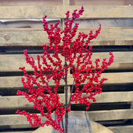 25” Red berry cluster pick - EC4417