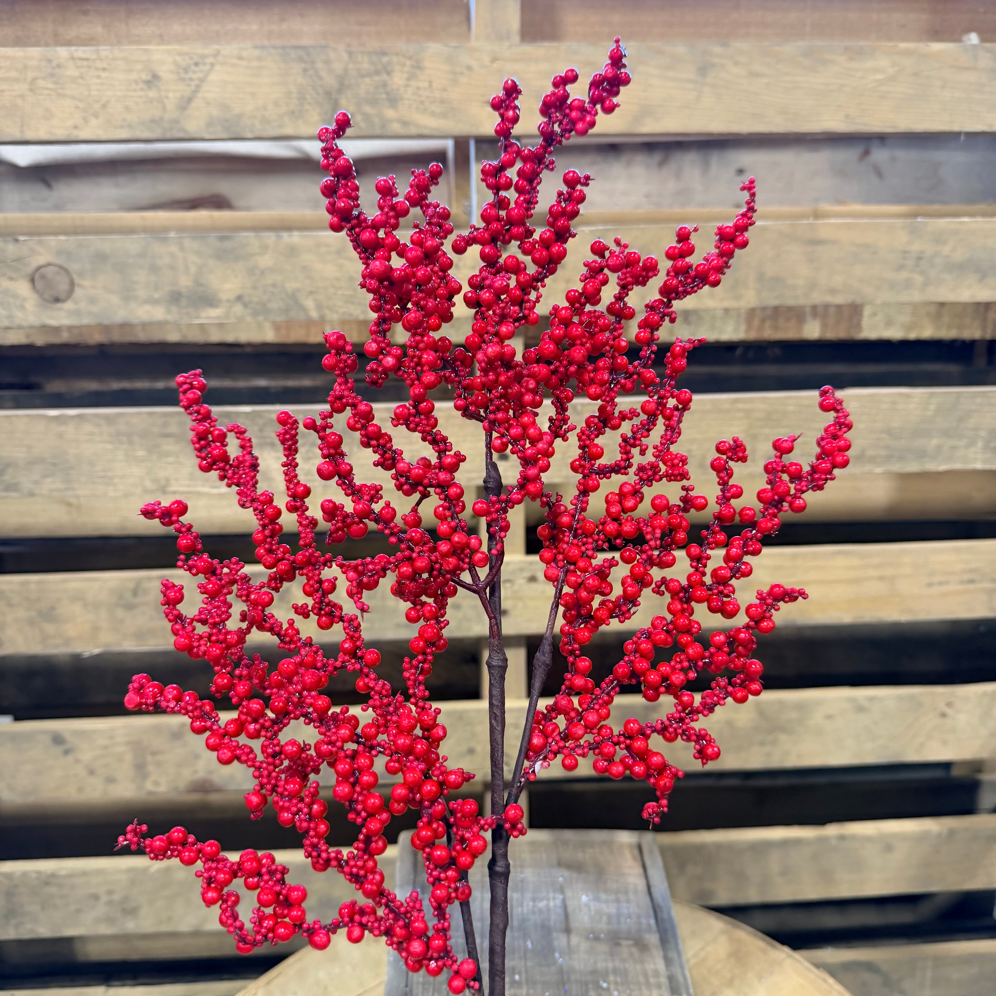 25” Red berry cluster pick - EC4417
