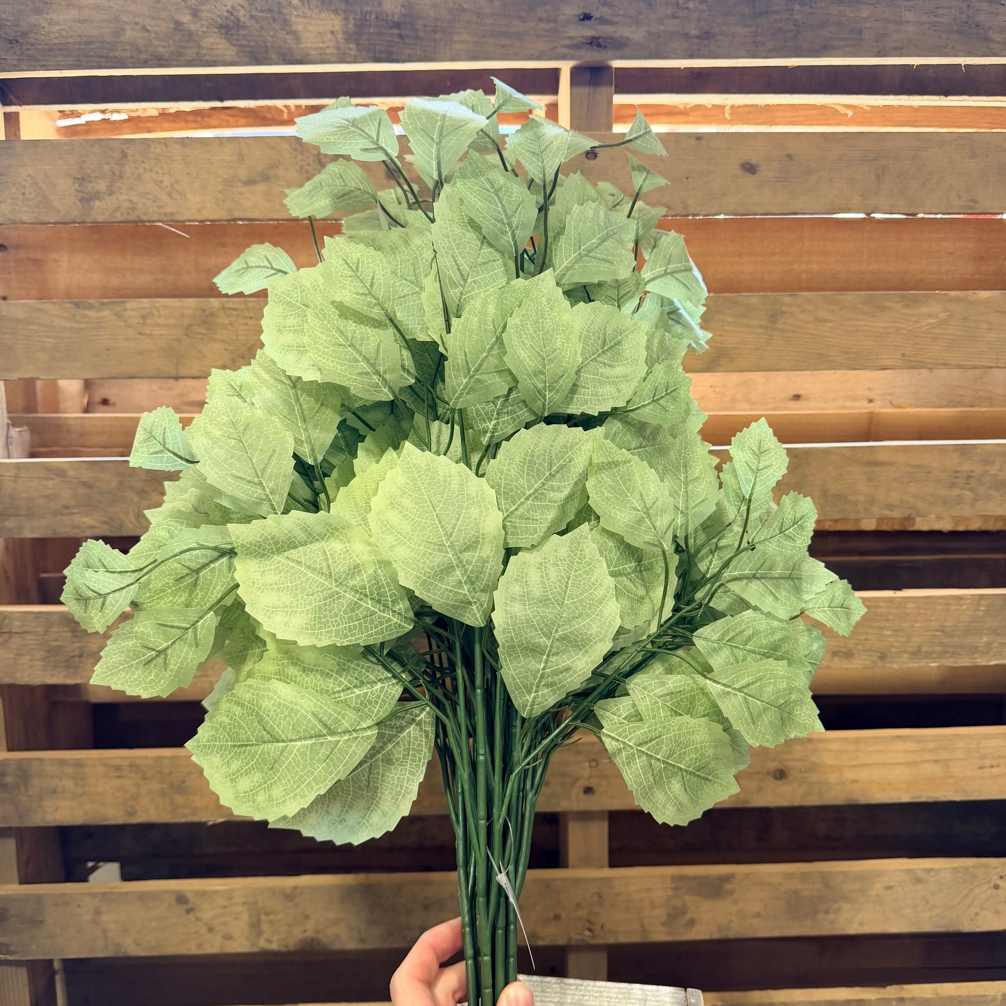 1 dozen pack - Sage Green rose leaf spray  - FG663332