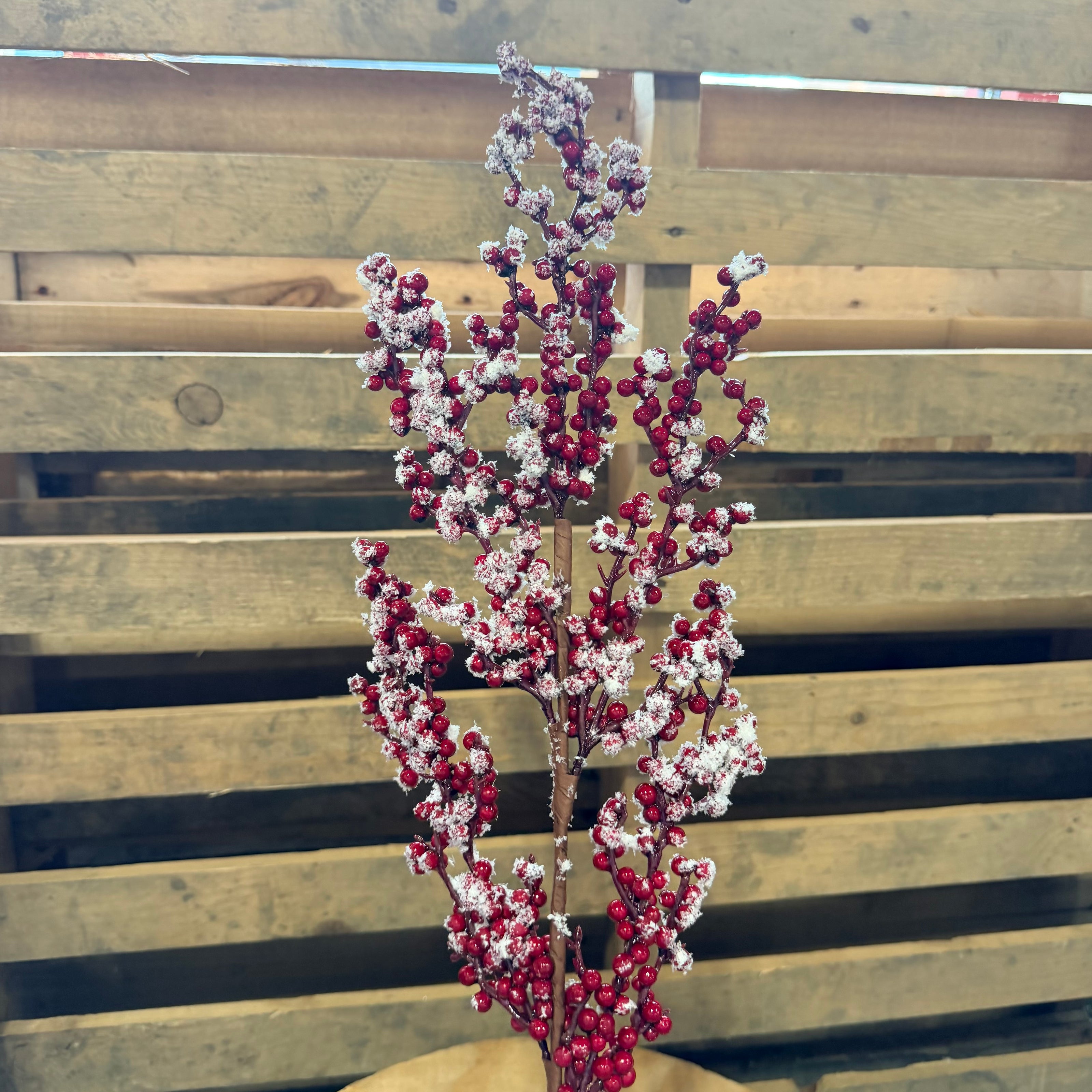 RED BERRY S/SNOW SPRAY - 63652