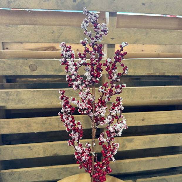 RED BERRY S/SNOW SPRAY - 63652