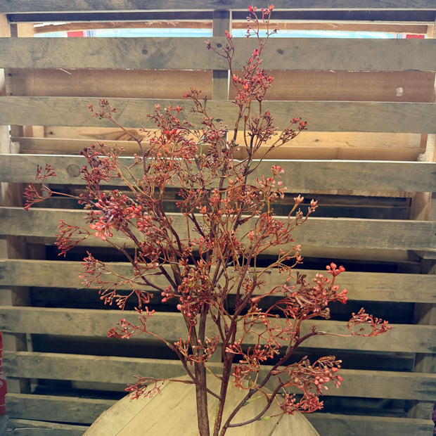 35”  Rosa Caspia Stem - 1311X9901