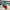 2.5” x 10yd Green and red garland d’lux ribbon - LX314658