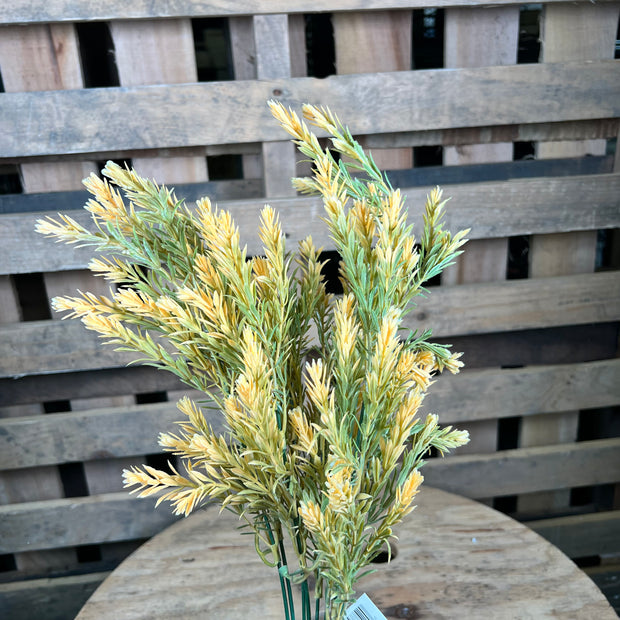 19" orange rosemary bush - 57752