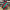 4” x 10yd metallic Dupioni glitter boarder Christmas Wired Ribbon - RGA80263K