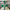 27"  GREEN SEQUIN COIL SPRAY - XS141206