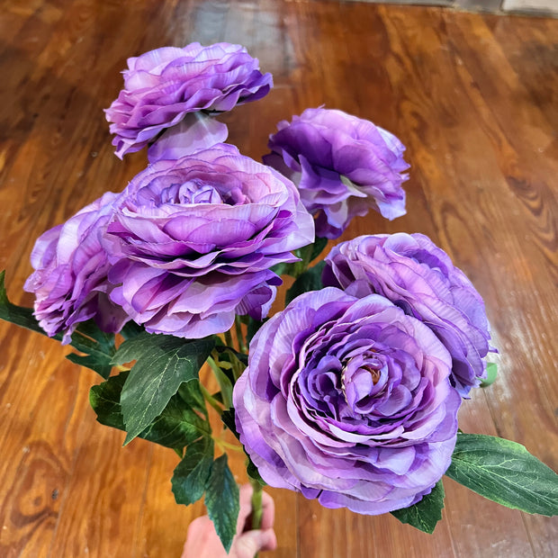 19 in purple ranunculus bush - 84894 - PU