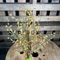 21in yellow filler bush - 57223YW
