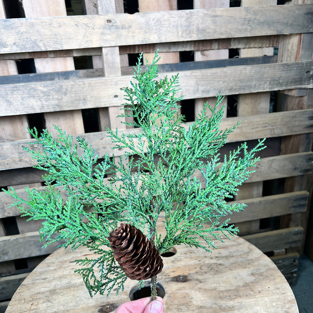 20" Cedar spray  - 38345
