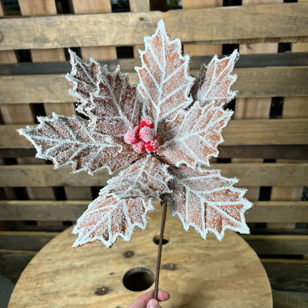 10.5 " gingerbread poinsettia  - XS4206