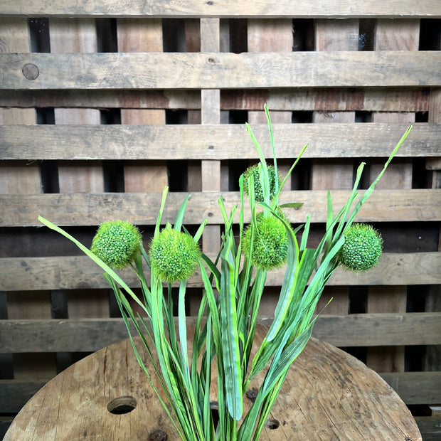 21 Inch Green pom Pom grass floral stem - 63764GN