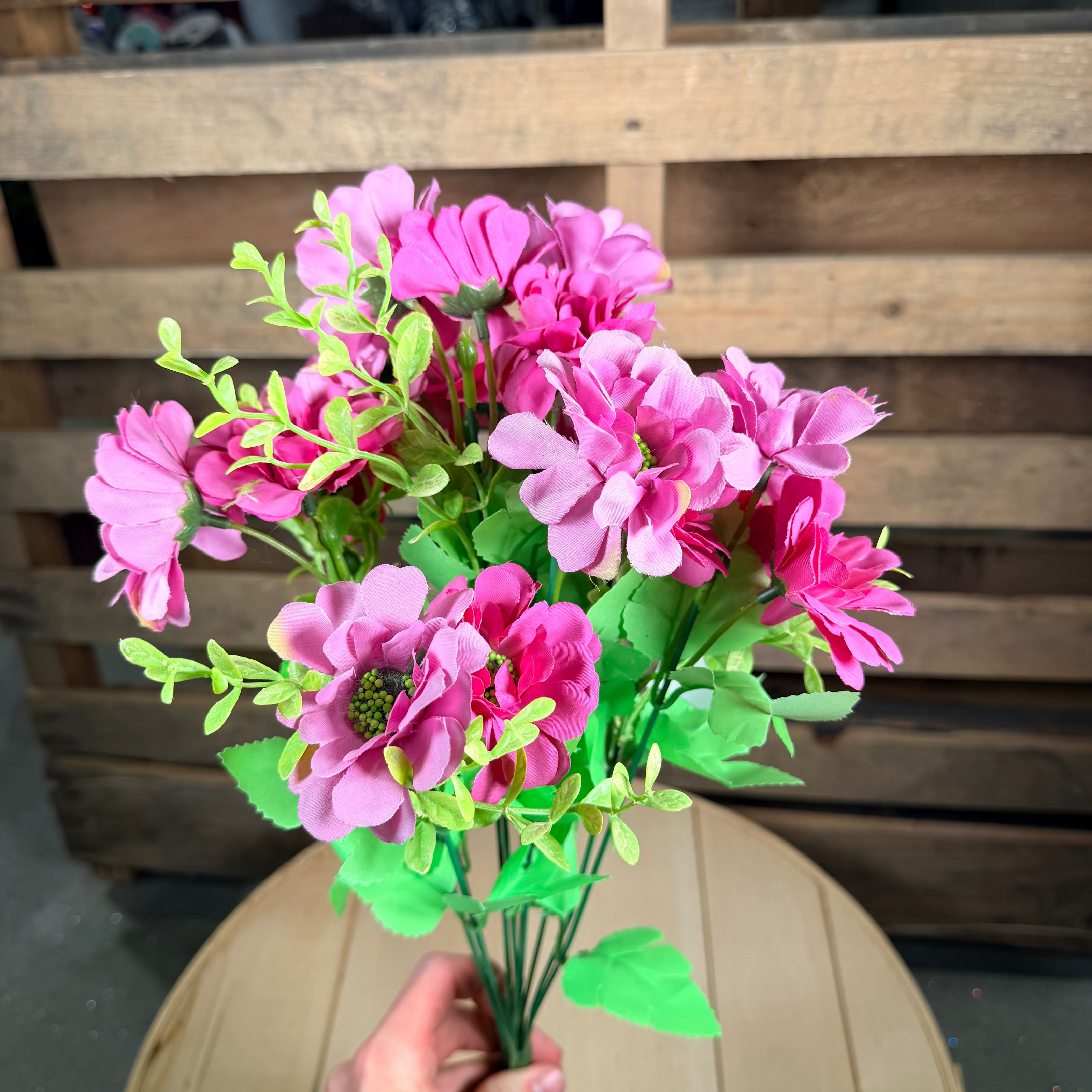 Purple Zinnia bush - 97204