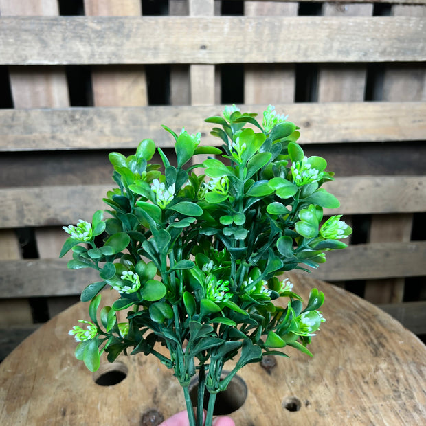 13"  boxwood greenery bush - FG6562