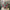 28” rusty jingle bell greenery berry spray - XX8724
