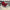 11 in red snowflake a Christmas sleigh container - 9748796