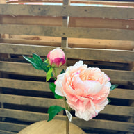 24.5” Peony Flower and Bloom Real Touch Light Pink - 6028W7259